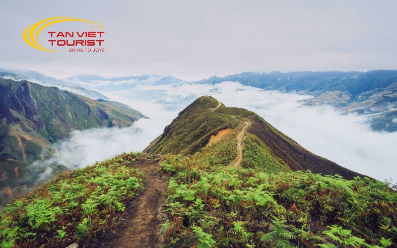 tour-ta-xua-san-may-2n1d (3)