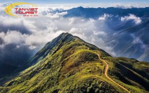 sống lưng khủng long Tà Xùa